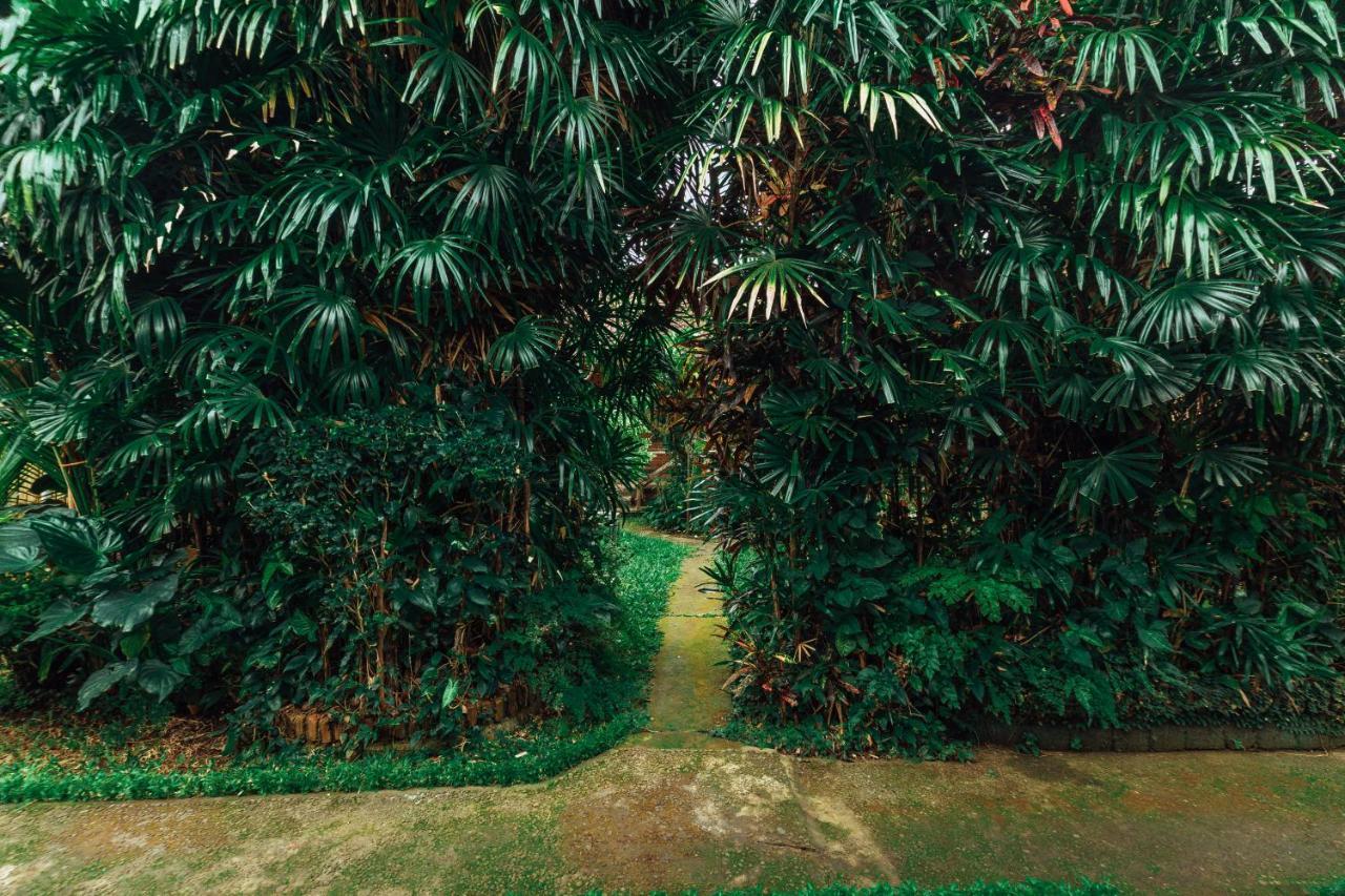 Suastika Lodge Ubud Eksteriør bilde